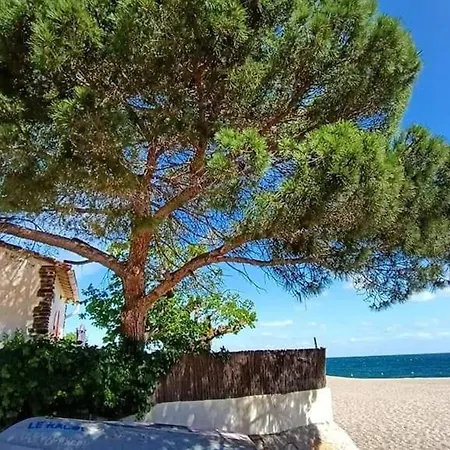 3 Pieces Climatisee, 5 Pers., A 800m De La Avec Jardin Et Parking Securise - Fr-1-776-77 Villa Argeles-sur-Mer